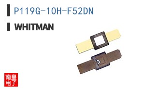P119G-10H-F52DN ͼƬ